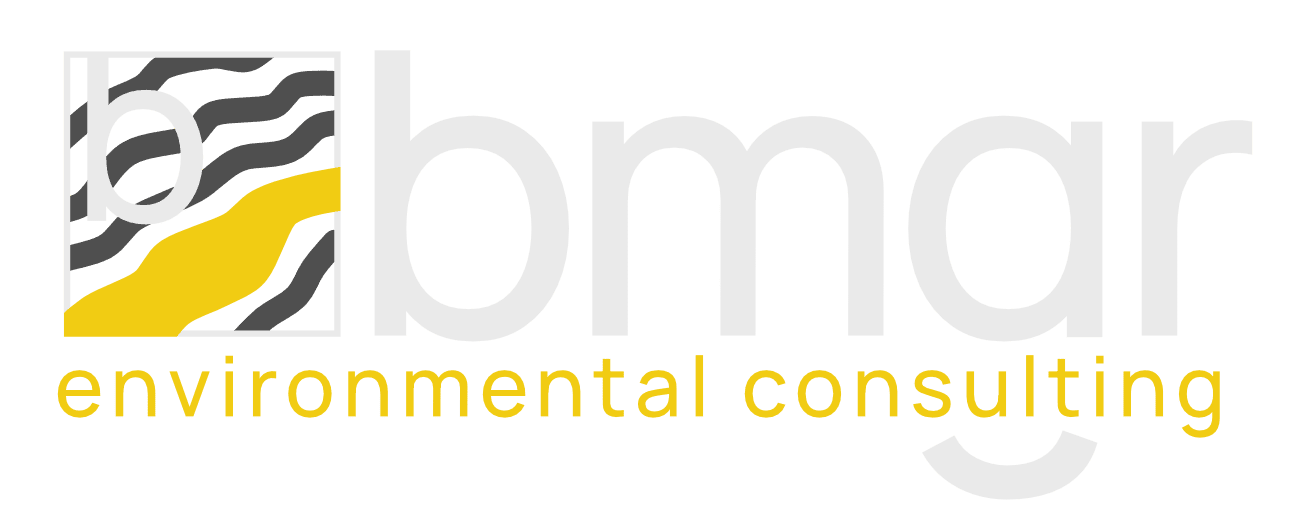 bmgr environmental consulting